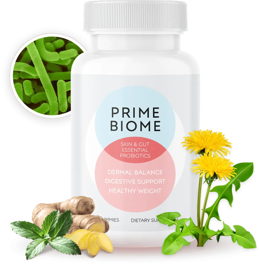 What is Primebiome?
